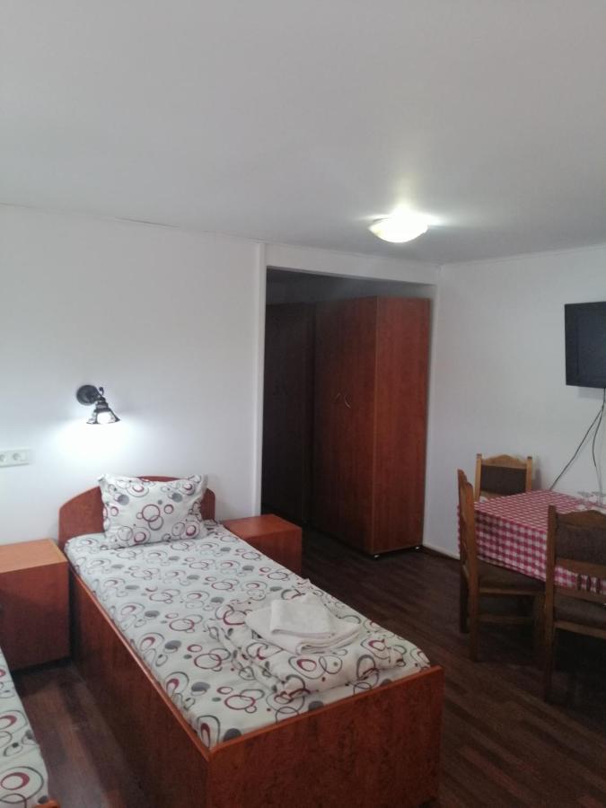 Vila Elly Piatra Neamţ Exterior foto